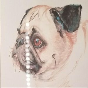 Meet your Posher, Kay